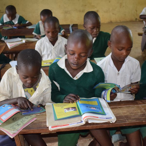 Keniaanse kinderen zitten in schoolbankjes en lezen in lesboeken.
